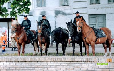 Le caractère de la police [ @algo ]