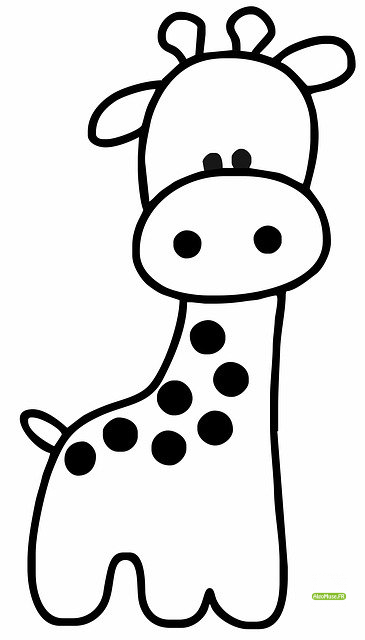 giraffe-2047420_640-d990fee5