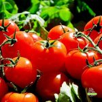 Le Marquis et les tomates (hommage à Yan Romair : "Le marquis et les fraises") [ @gepetto ]