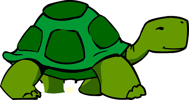turtle-303732_640-18623b6b