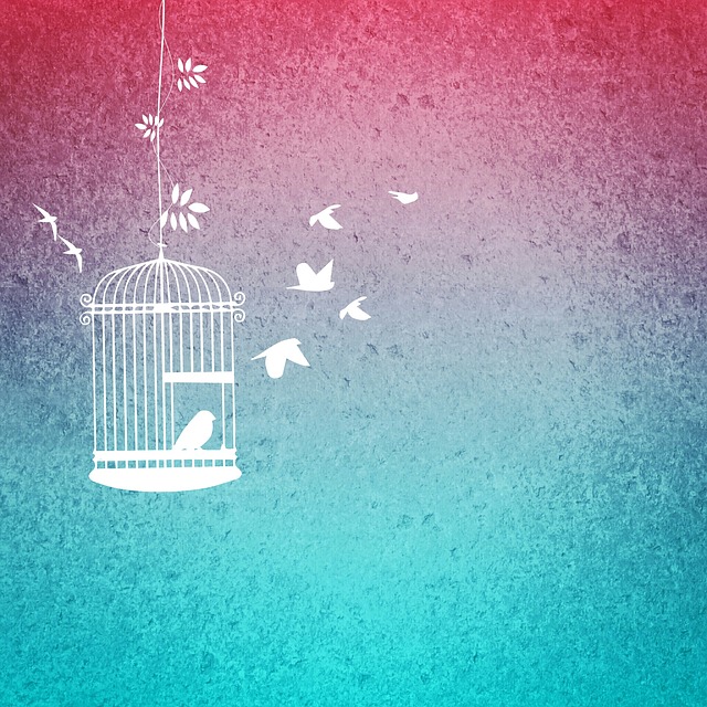 bird-cage-g526384eb2_640