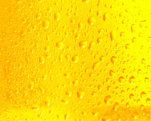 Soudain – Une bière sous les tropiques