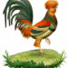 vintage-rooster-5293358_640-906477d5